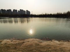 -五环公园