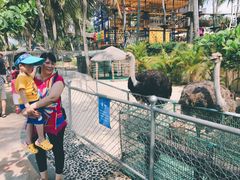 -三亚亚龙湾天域度假酒店