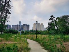 -三圣花乡旅游区