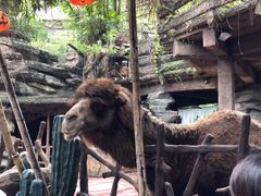-长鹿旅游休博园