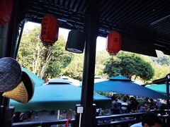 -阿巧茶庄