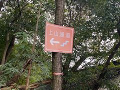 -灵岩山风景区