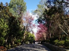 -天龙八部武侠城