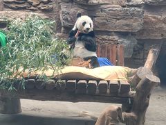 -石家庄市动物园