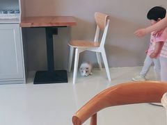 -小意思咖啡店(草桥店)