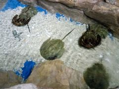 -运城海洋馆
