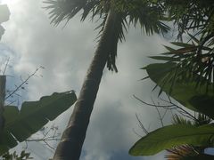 -呀诺达热带雨林