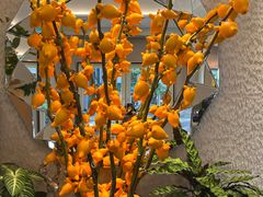 -鹿港小镇(黄金店)