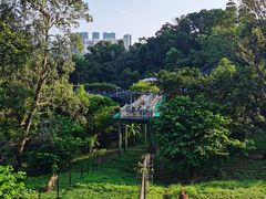 -深圳野生动物园