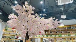 -简影造型·自选烫染接发salon