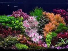 -华声天桥民俗文化园