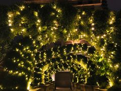 景观位-伯衡55·吉品轩(乌鲁木齐南路店)