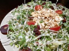 -机器人火炉披萨