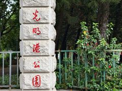 -光明港公园