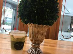 -多克多蒸气茶DOKDO(鼓楼绿地店)