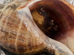 -九號院子海鲜烧烤