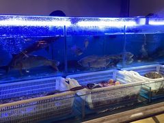 水产区-舜耕山庄四时万和自助餐厅