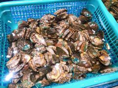 -丰卓会海鲜自助(中润大道店)