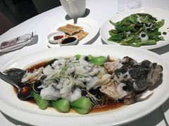 -张生记(丁香国际店)