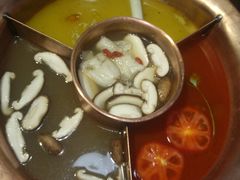 -老诚一锅羊蝎子(黄寺大街店)
