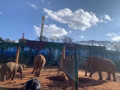 -昆明动物园