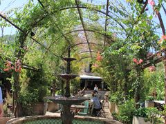 -The Grounds of Alexandria
