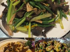 -鲤鱼塘农家山庄