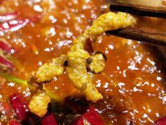 鸳鸯火锅-小龙坎火锅(香港中路店)