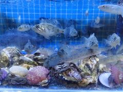 -前王院•巧克力海鲜市集餐厅(万平口店)