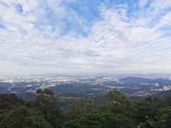 -黄埔油麻山森林公园