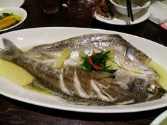 -涌上外婆桥(慈溪店)