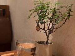 -CURRY YA 熟成咖哩專門店(深圳湾万象城店)