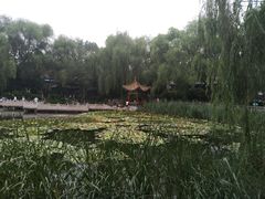 -文瀛公园