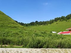 -关山草原