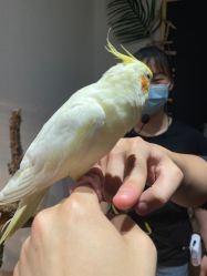 -Zoolung Zoolung动物主题公园(海信广场店)