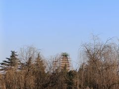 -洛阳白马寺