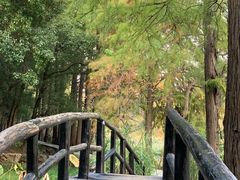 -东湖落雁景区
