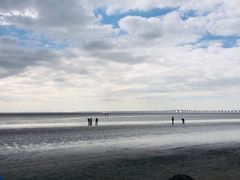 -南汇嘴观海公园