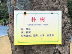 -海珠儿童公园