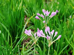 -西湖风景区-江洋畈生态公园