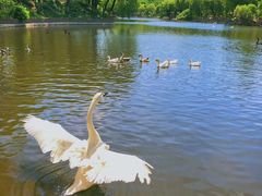 -石家庄市动物园