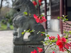 -莫愁湖公园
