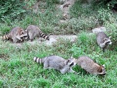 -宁波野生动物园