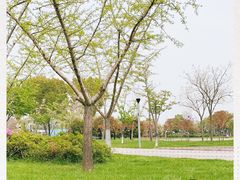 -尚贤河湿地