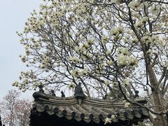 -北京石刻艺术博物馆(五塔寺)