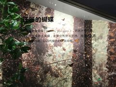 -长江文明馆