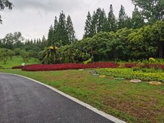 -东平国家森林公园