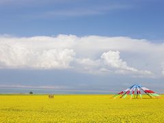 -青海湖国家重点风景名胜区