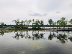 -绿堤公园