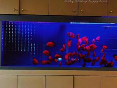 -宫七SPA·高端Massage(浦东大道店)